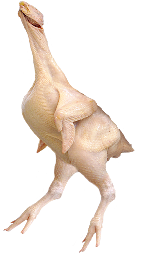 raw-chicken-9.png